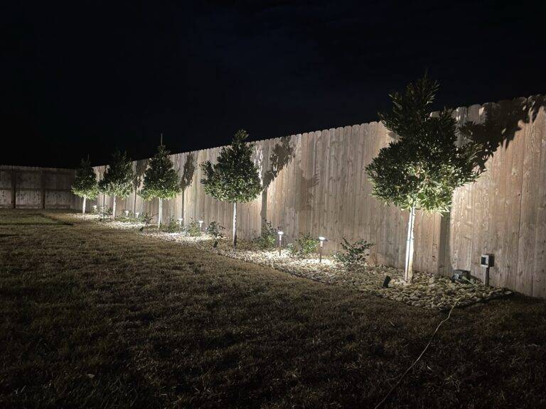 Sleek landscaping lighting crafted and installed by Eric's Tidy Turf, LLC in the greater new orleans area