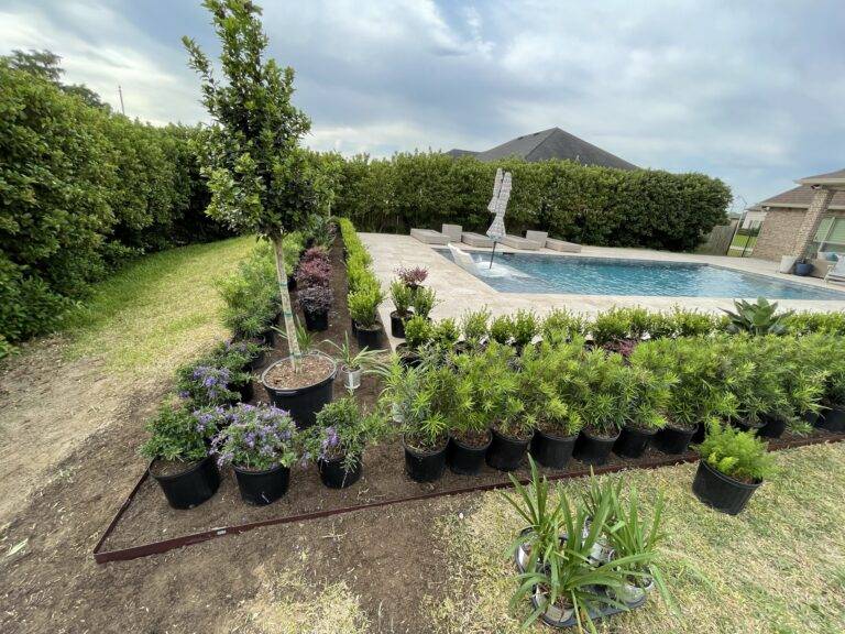 Beautify poolside landscaping installed by Eric's Tidy Turf, LLC