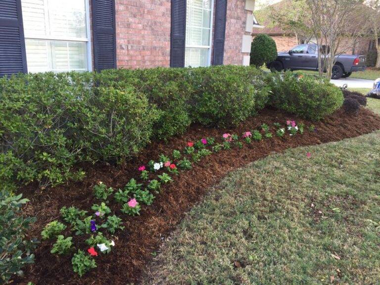 resized_lawncare-landscaping-new-orleans-gretna-010