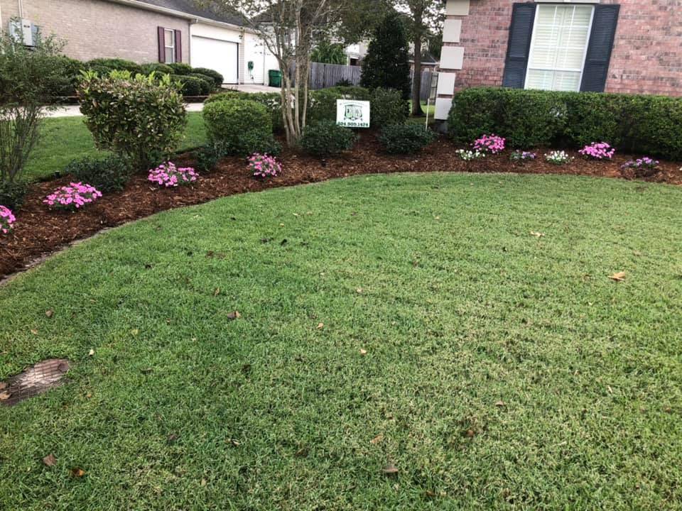 Beautifully landscaped front garden bed with vibrant purple foliage and green shrubs, framed by a brick border in front of a home, maintained by Eric's Tidy Turf.