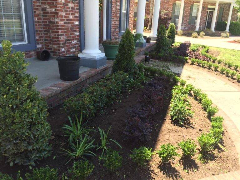 Neatly arranged garden with a variety of shrubs and plants, providing a lush entrance to a home, expertly serviced by Eric's Tidy Turf.