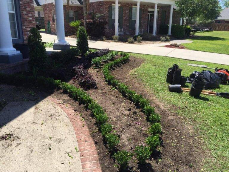 Neatly arranged garden with a variety of shrubs and plants, providing a lush entrance to a home, expertly serviced by Eric's Tidy Turf.