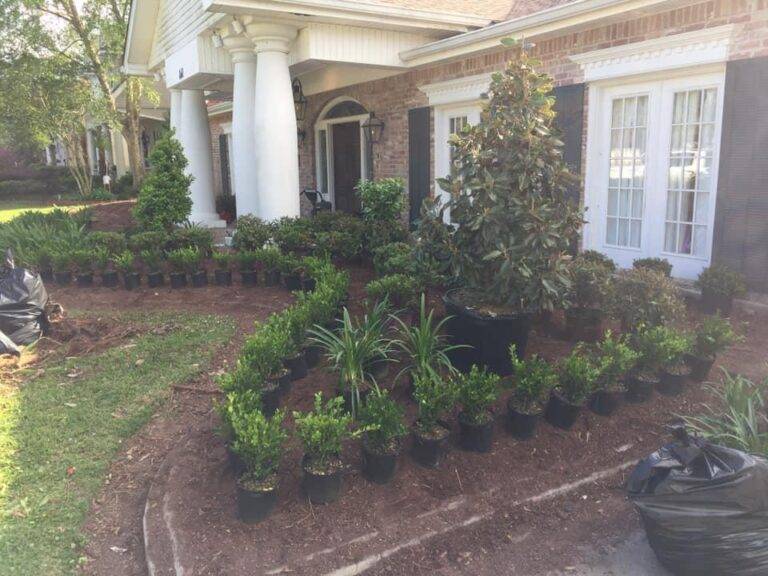 resized_lawncare-landscaping-new-orleans-gretna-046