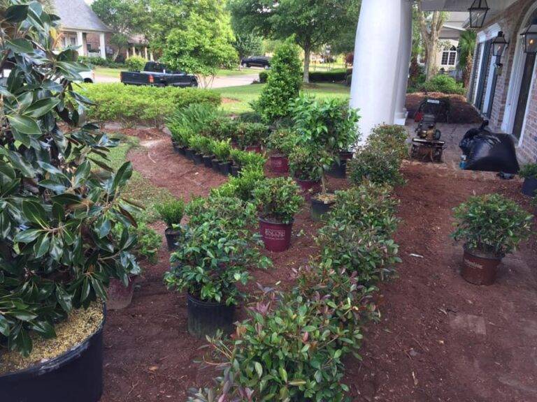 resized_lawncare-landscaping-new-orleans-gretna-047