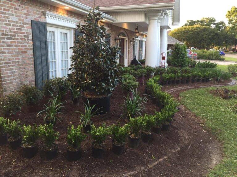 resized_lawncare-landscaping-new-orleans-gretna-048