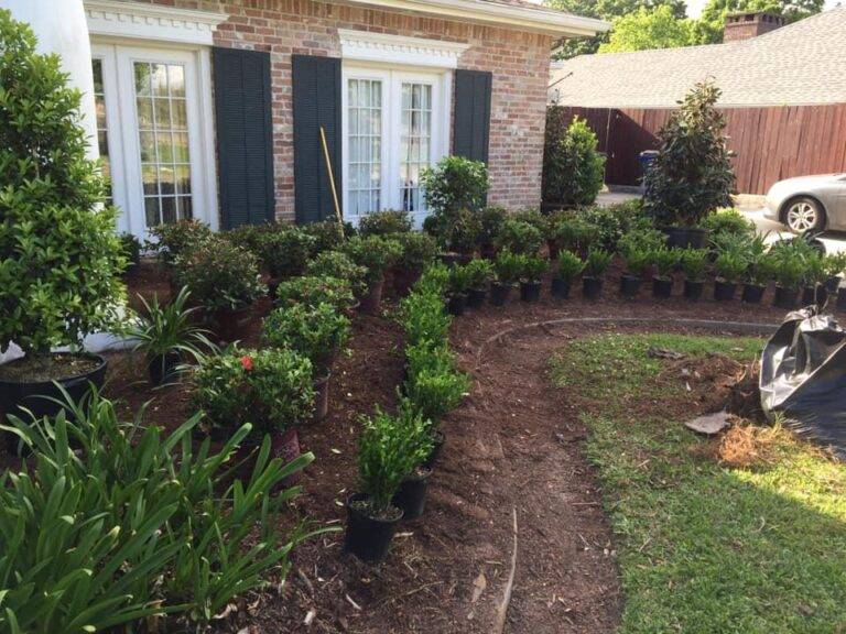 resized_lawncare-landscaping-new-orleans-gretna-049