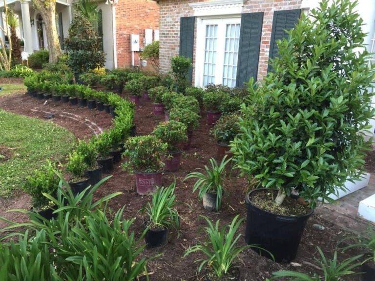 Beautifully landscaped front garden bed with vibrant purple foliage and green shrubs, framed by a brick border in front of a home, maintained by Eric's Tidy Turf.