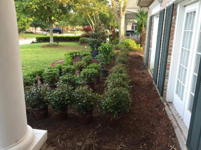 resized_lawncare-landscaping-new-orleans-gretna-051