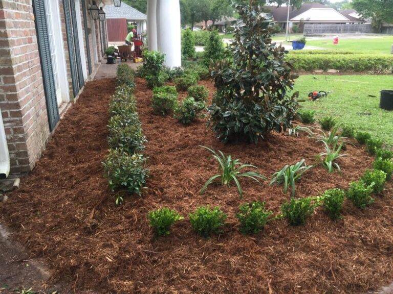 resized_lawncare-landscaping-new-orleans-gretna-056