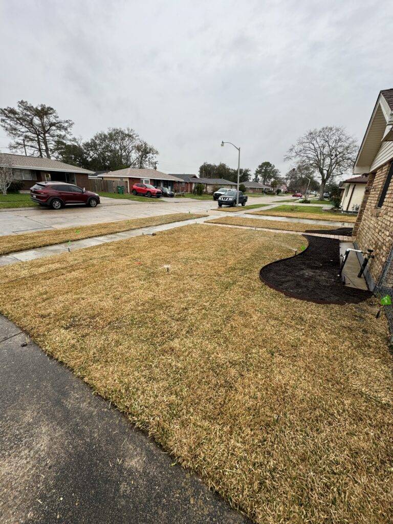 Sod grading and installation by Eric's Tidy Turf, LLC in the greater new orleans area