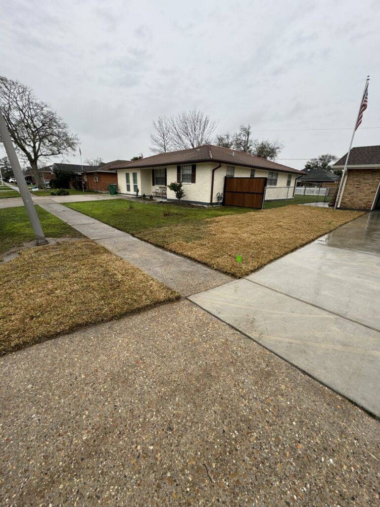 Sod grading and installation by Eric's Tidy Turf, LLC in the greater new orleans area