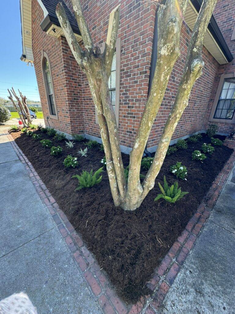 professional-landscaping-services-garden-design-westbank-new-orleans11