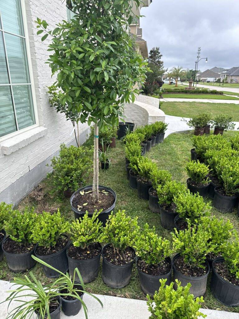 beautiful crafted landscaping project installed by Eric's Tidy Turf, LLC in the greater new orleans area