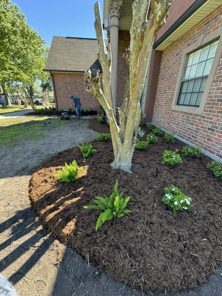 beautiful crafted landscaping project installed by Eric's Tidy Turf, LLC in the greater new orleans area