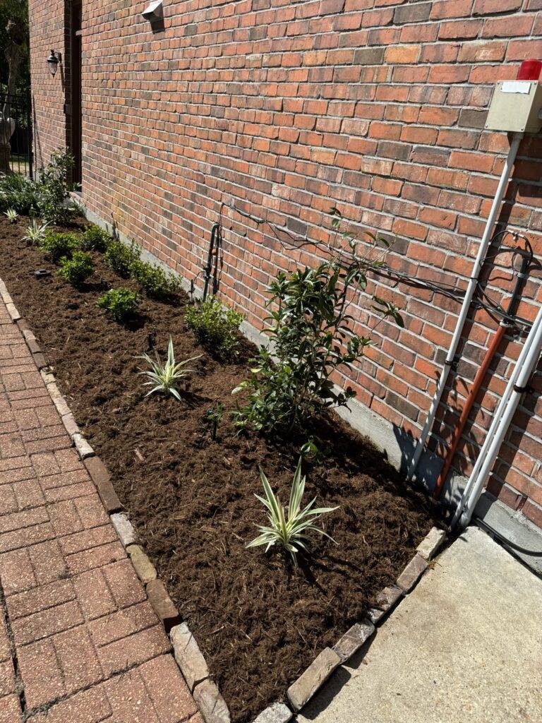 beautiful crafted landscaping project installed by Eric's Tidy Turf, LLC in the greater new orleans area