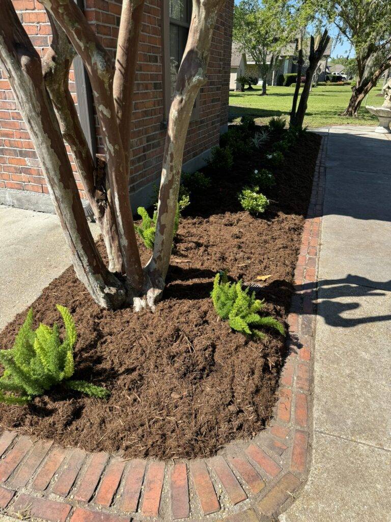 beautiful crafted landscaping project installed by Eric's Tidy Turf, LLC in the greater new orleans area