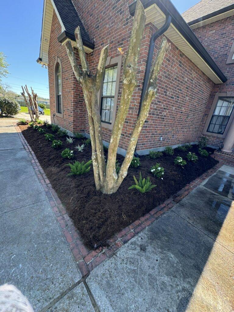 beautiful crafted landscaping project installed by Eric's Tidy Turf, LLC in the greater new orleans area