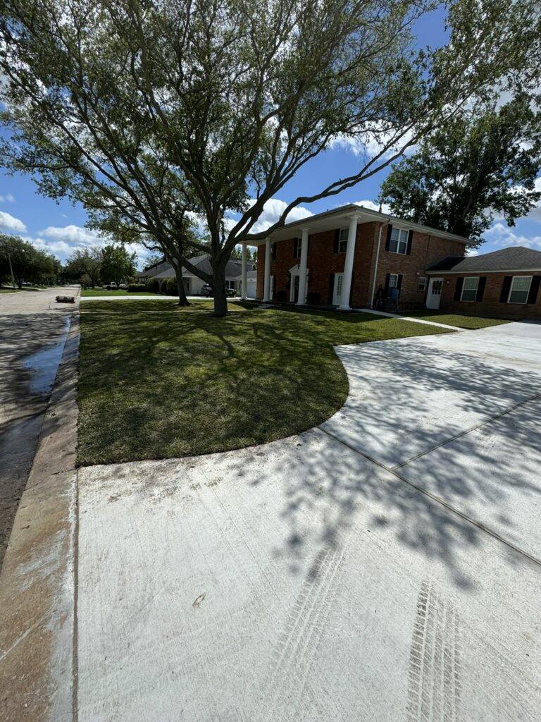 Sod grading and installation by Eric's Tidy Turf, LLC in the greater new orleans area